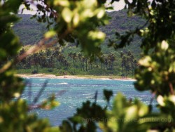 amisit-in-tempore:  Playa Ballenas, Guanica. 