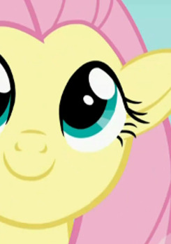 edwardspoonhands:  blahsophieblah:  The Lizzie Bennet Diaries & MLP - Comparison  Pretty Much…