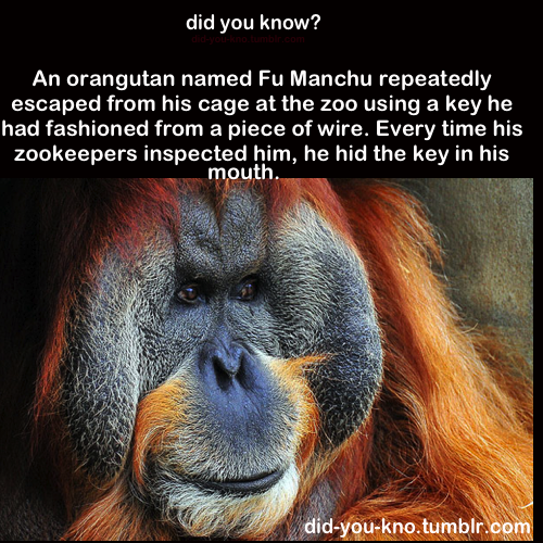 did-you-kno:  Source 
