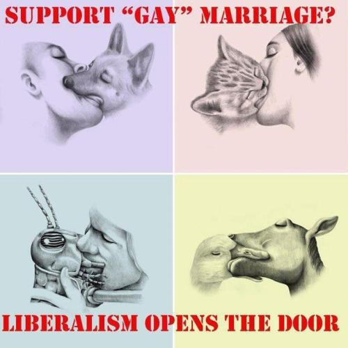 priceofliberty:comradechan:Why is the insect so bigBecause liberalism opened the door