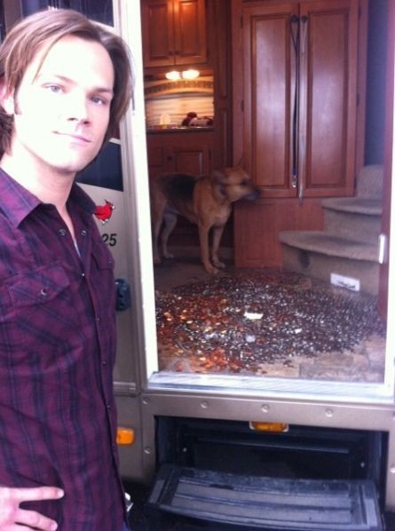 you guys remember that time misha lost a bet and paid jared with a trailer full of