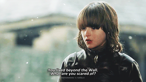 morsmordre-x:#the point is of this gif is to remind people to appreciate little bran’s face be