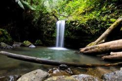 javipr:  Cascada de Diego en el Bosque Nacional