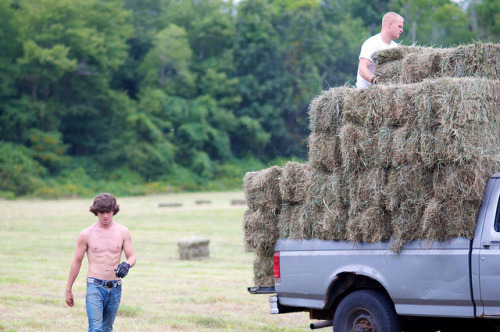 aplethoraofmen: Farm boys There&rsquo;s just something about farm boys. That boy in the white te