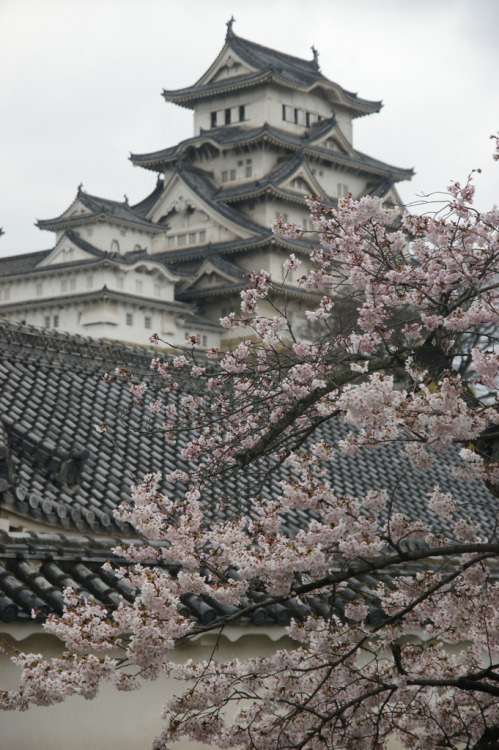 isaykonnichiwa:by Viaje con JAPOPLAN