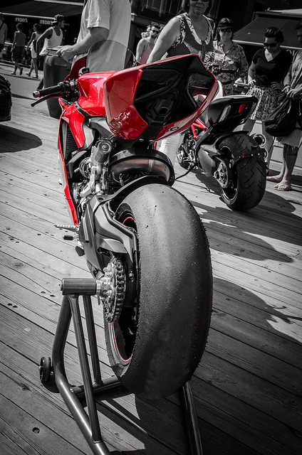 wildhares crazy ride