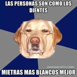 ¡El perro racista!