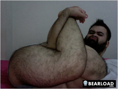 gordonalgon:  When /gaybears meets /wtf - Imgur 