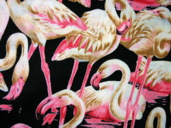  crazy flamingos 