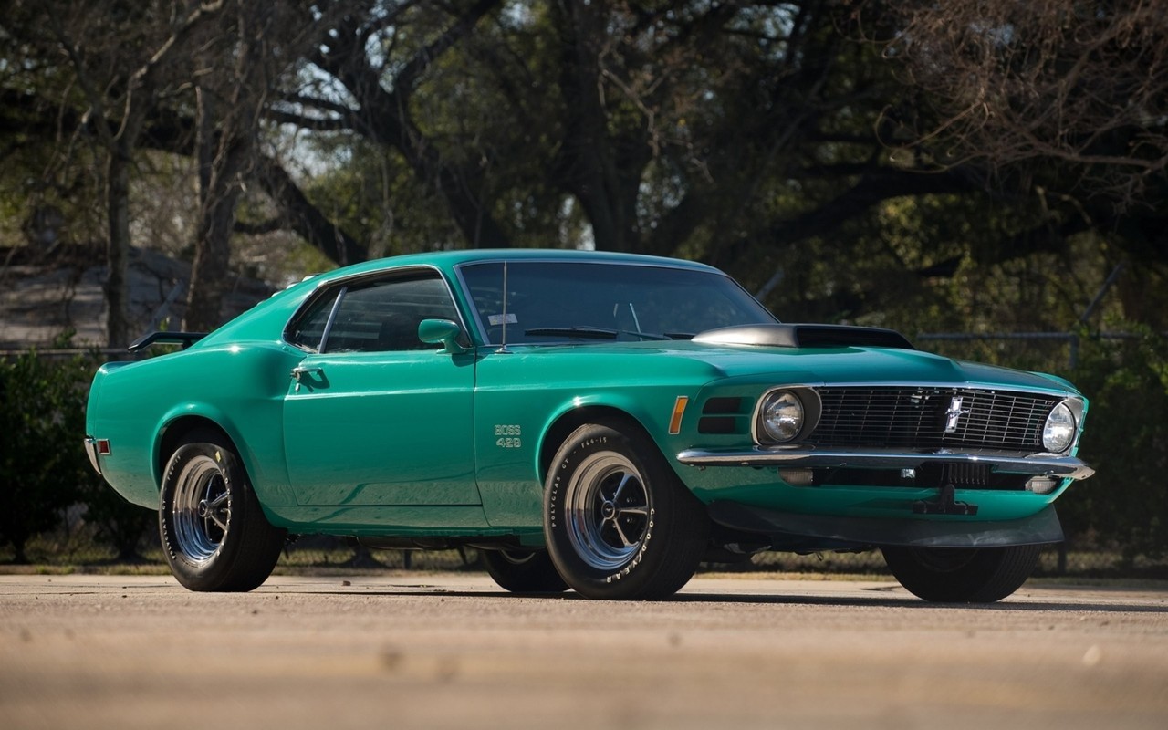 Ford Mustangs