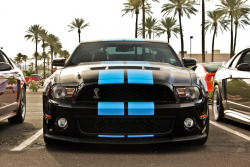 fullthrottleauto:  Shelby Mustang GT500 (by agup627)