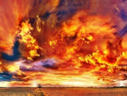 wolfdancer:  wolfdancer:- Sky on Fire 