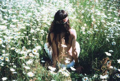 hansansgar: source: favim.com