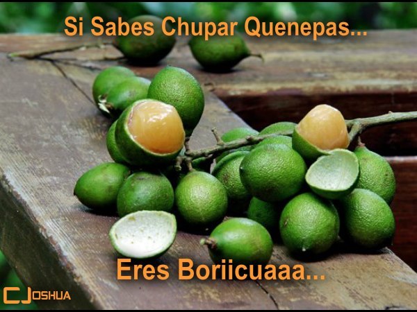 raverkid6718:  Tan ricas~