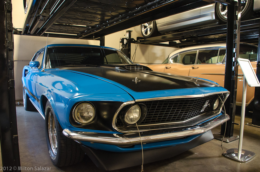 Ford Mustangs