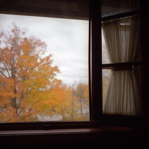 warm-and-cozy-autumn: Autumn blog