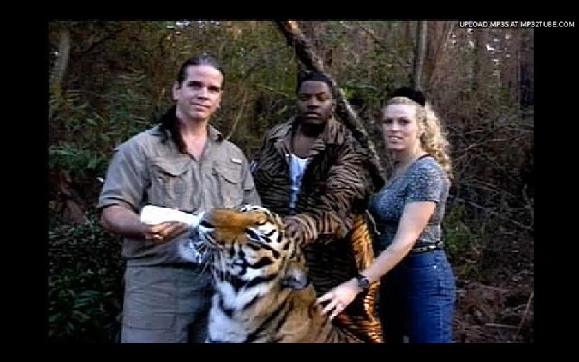 basednigel:  ma$e feeding tiger wearing mink suit 