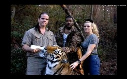 basednigel:  ma$e feeding tiger wearing mink