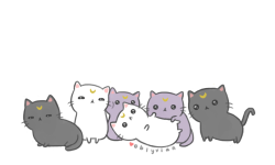 oblyvian:Moon kitties! ♡