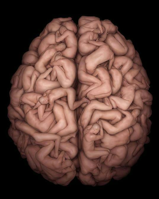 cocks-cum:  My brains