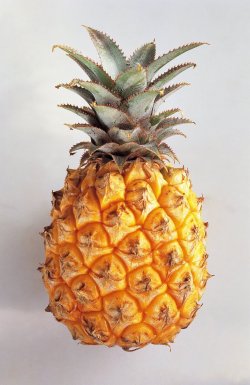 Pineapple!!! I Love Pineapples!!!