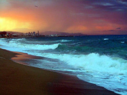 colourfulscenery:  Barcelona Beach by Ananda