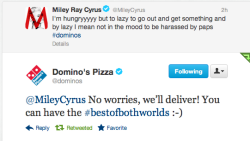 Wazowskivevo:  Domino’s Pizza Saw The Chance And They Took It 