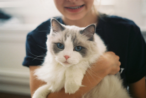 insipirir:  sans titre by Sarah V. Elston on Flickr. 