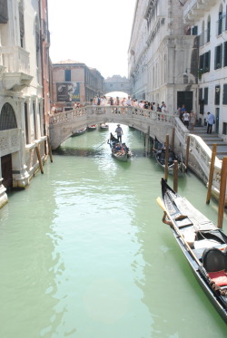   venice @ 35-24-35  