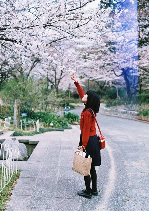 Street Snap Fashion