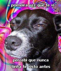 Derpet