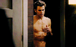 reblogged because of reasons