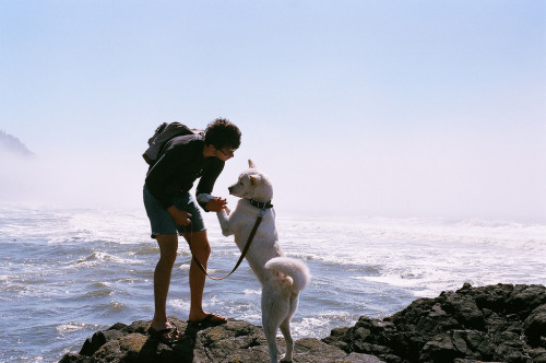 Sweet Escape