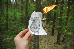 4dele:  Pencil Vs Camera - 15 by Ben Heine