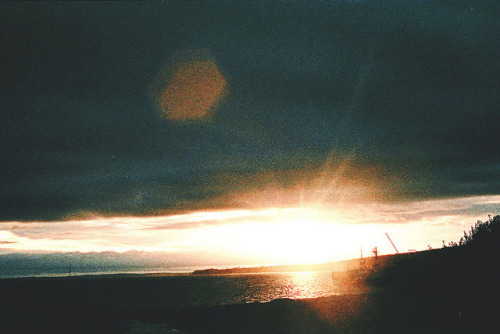greekg0ds:  by abby billington