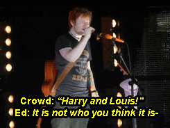 louis-smiles:  Ed’s Kiss Me dedication - Orlando, September 8th - (x) 
