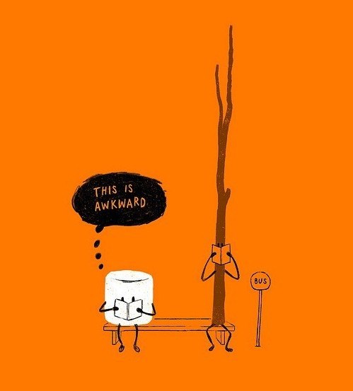 Este libro corto de mi vida