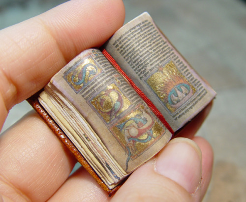 fuckyeahbookarts: Miniature Illuminated Medieval Manuscripts &amp; Leonardo da Vinci S