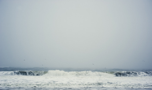 razorshapes:The Living and Dying of Waves by Das weisse Kaninchen“Portraits of waves. Three pictures