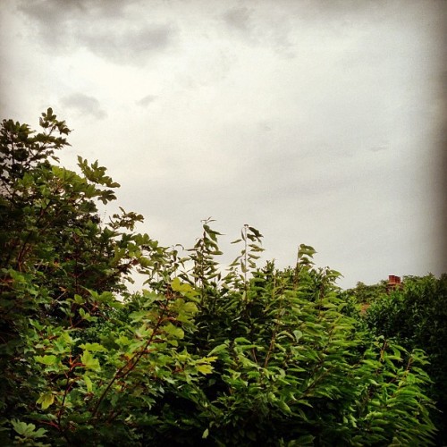 The Sky Today • the day of the Paralympic Closing Ceremony • #thebritishsummer #isleofdogs #eastlondon #london #england #greatbritain #unitedkingdom #greycloud #whitecloud #greentrees #cloud #grey #white #trees #green #brick #chimney #summer...