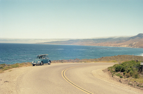 cannolis:  jalama bug by slcgerbing on Flickr.