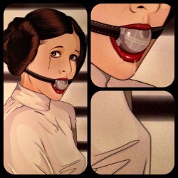 starwarsgonewild:  Princess Leia mouth strap