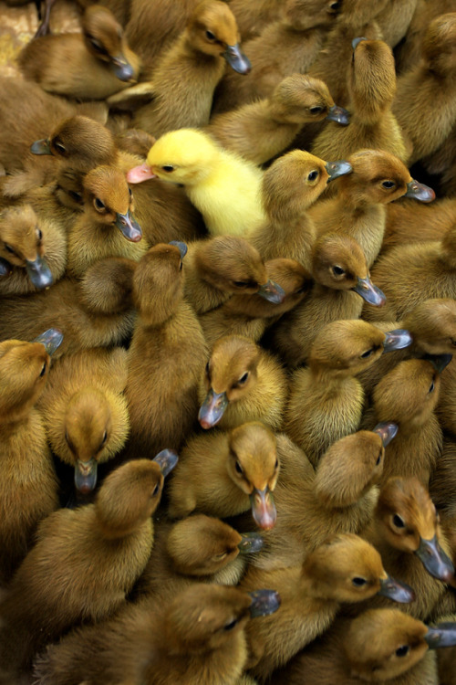 magicalnaturetour:  Photo by Jeffry Surianto :) 