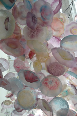  Pretty Jellyfish Art Installation At The National Aquarium, In Baltimore, Maryland.  