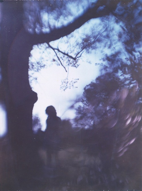 Lost Minds