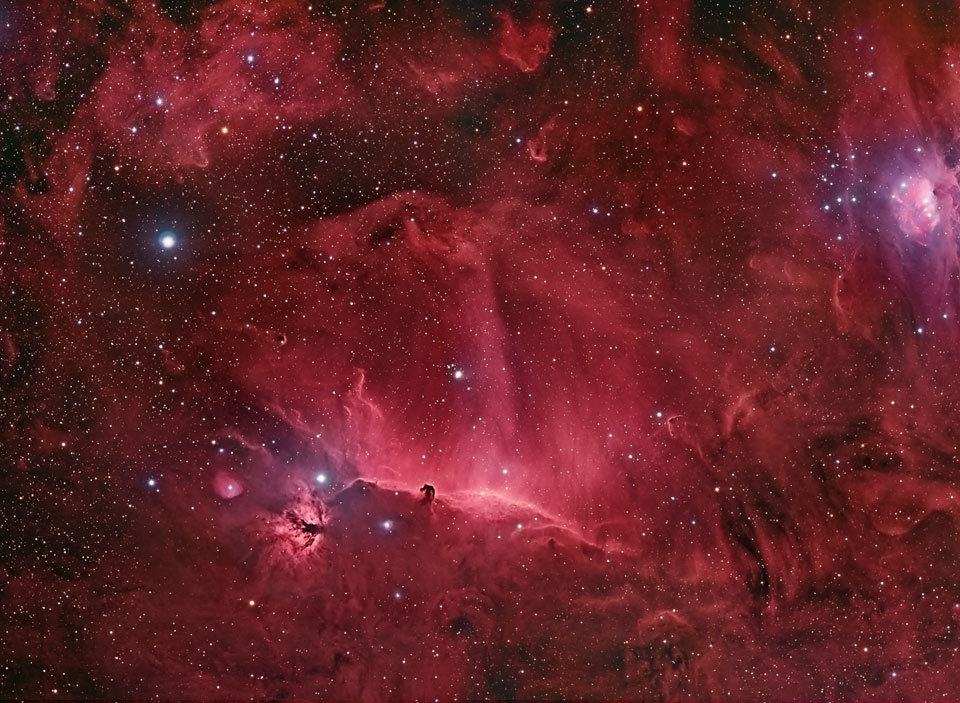 Wisps Surrounding the Horsehead Nebula