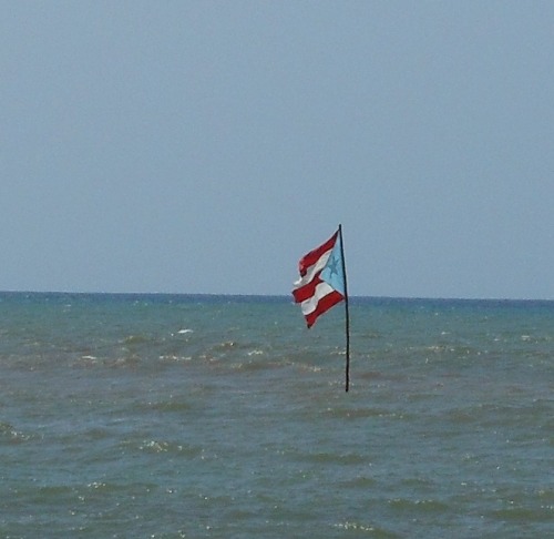 gotas-de-cianuro:  Puerto Rico Flag in Barceloneta 