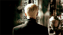weaselette1-deactivated20150619:  Years ago, I knew a boy who made all the wrong choices… 