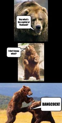 Bears jokes