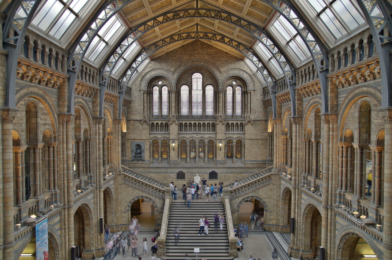 Natural History Museum London View Of The Main Hall Project By 